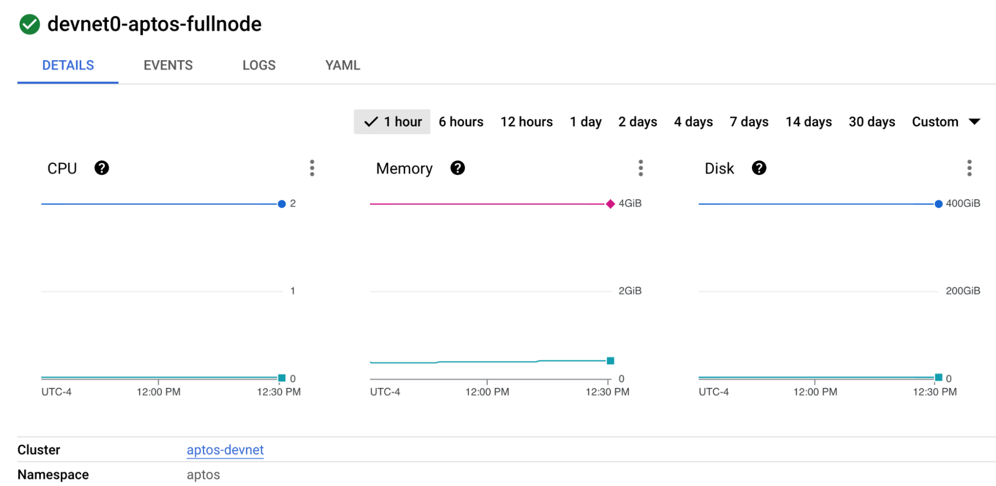 GKE Workloads Pod screenshot